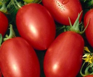 Health Benefits of Tomato 
