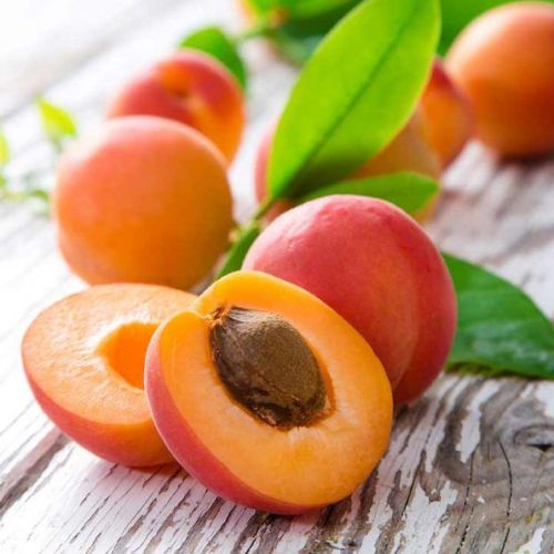 Health Benefits of Apricot Fruits