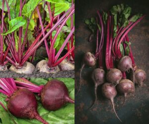 Health Benefits of Beetroot Juice