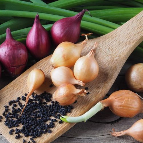 Health Benefits of Onion