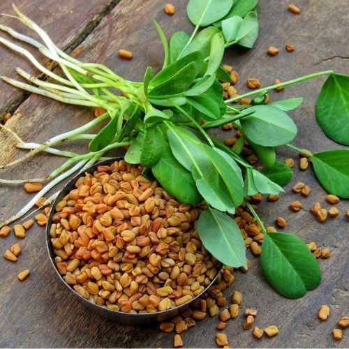 What are the Health Benefits of Fenugreek Seeds