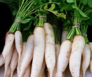 what are the health benefits of eating radishes
