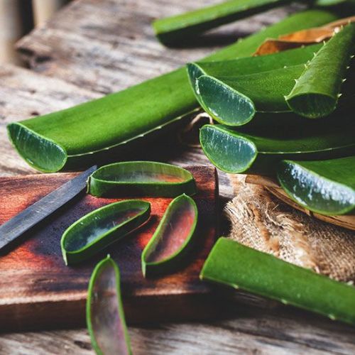 13 Incredible And Amazing Health Benefits of Aloe Vera