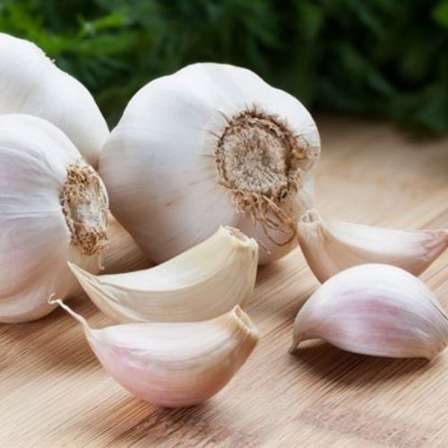 Health Benefits of Garlic