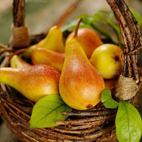 11 Unbelieveable Health Benefits of Eating Pears