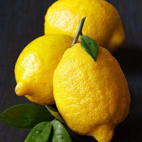 09 Reason Why You should add Lemon Into your Daily Diet