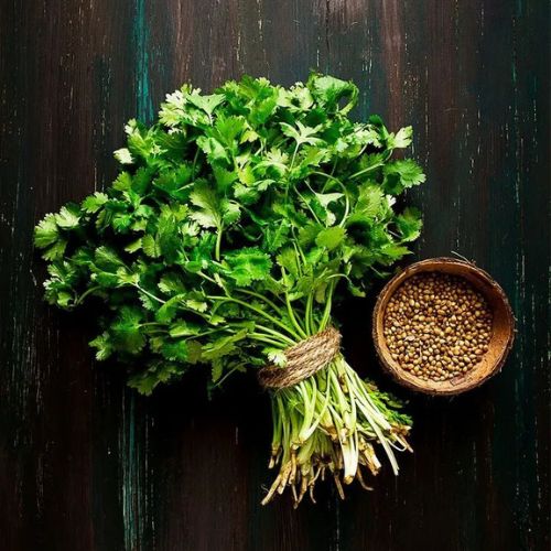 Health Benefits of Cilantro